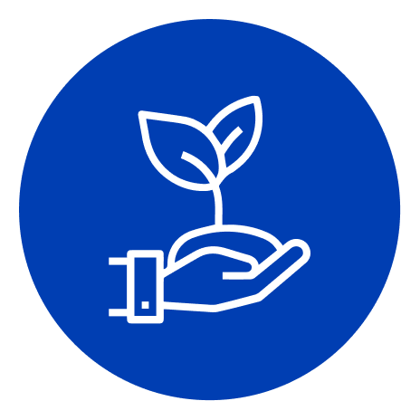 Agricultura / Ganadería