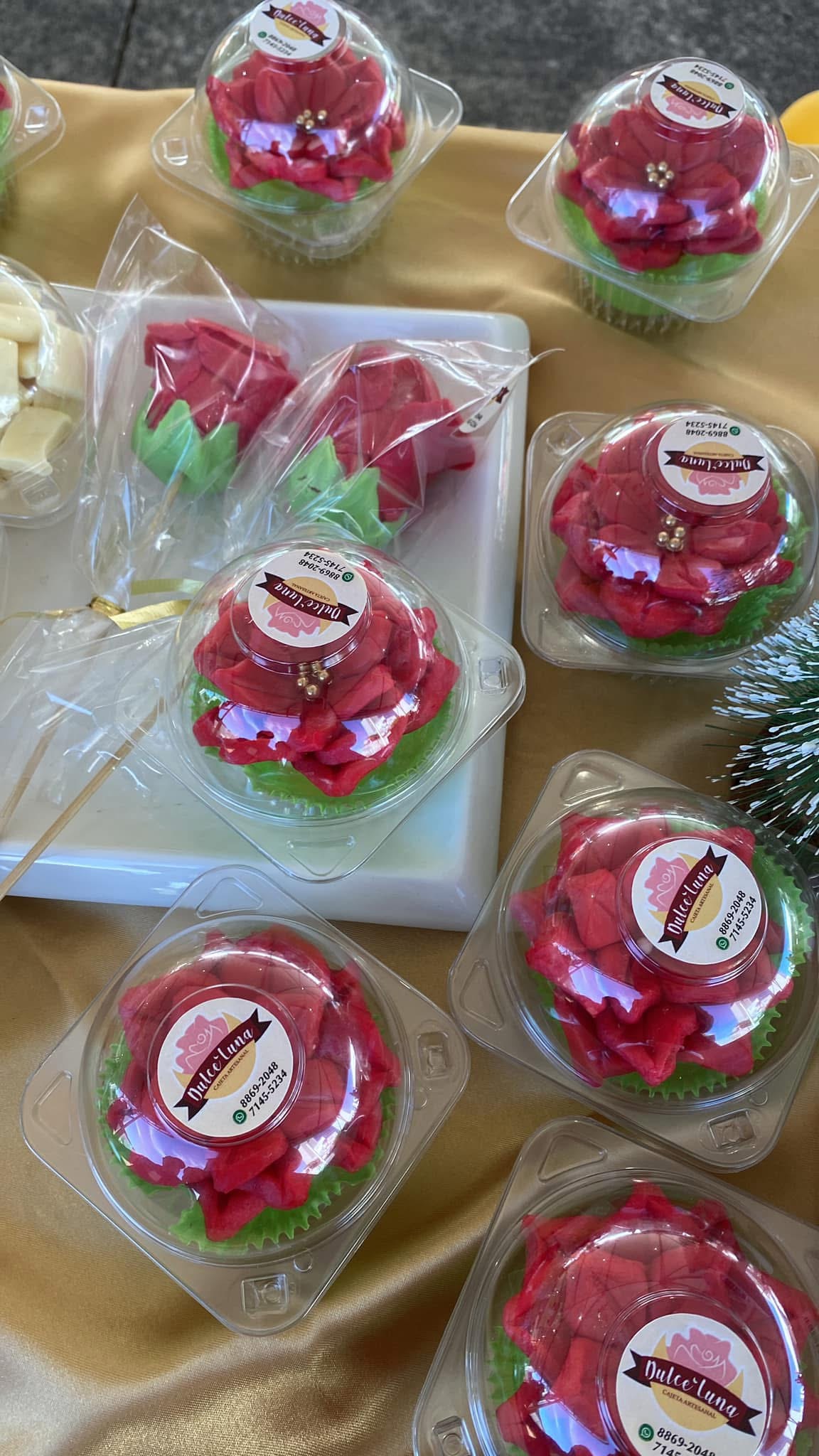 Cajetas Artesanales Dulce Luna 